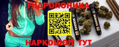шишки Нальчик