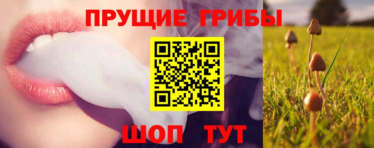 Фрязино  Галлюциногенные грибы Magic Shrooms  Вход с VPN 